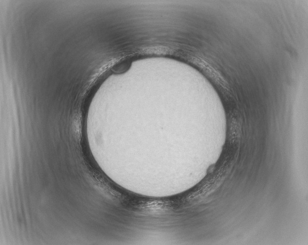 X0000115420064200912011335