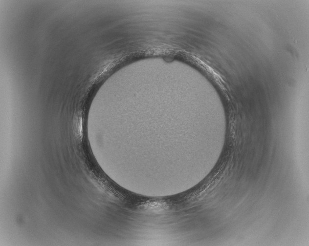 X0000115420067200912011335