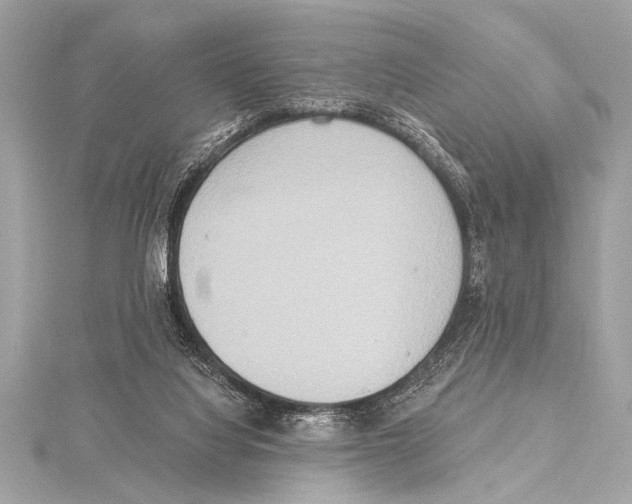 X0000115420068200912011335