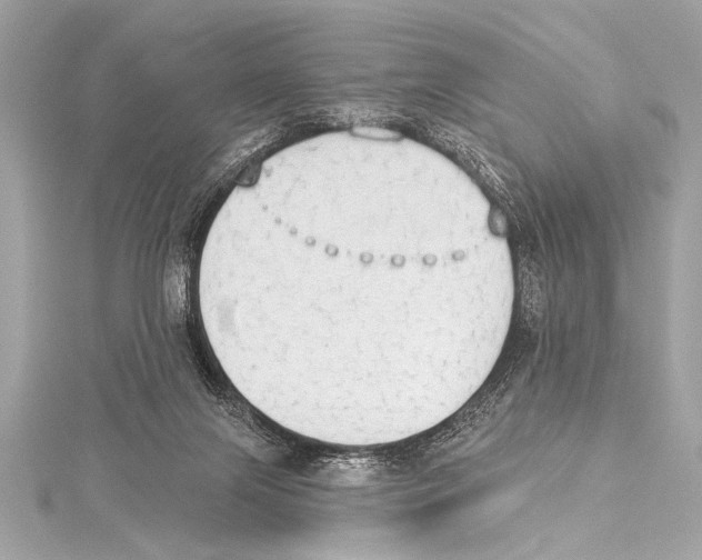 X0000115420071200912011335