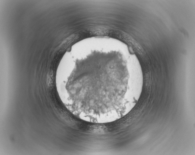 X0000115420073200912011335