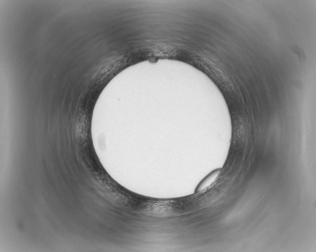 X0000115420078200912011335