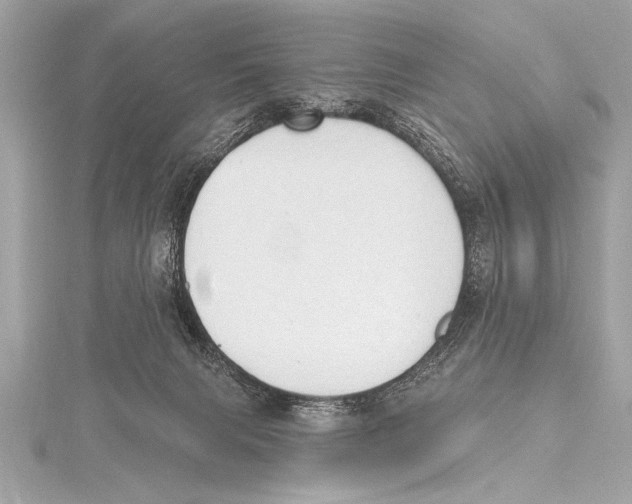 X0000115420079200912011335