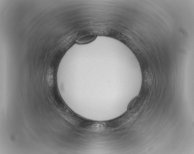 X0000115420080200912011335