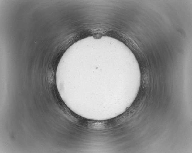 X0000115420081200912011335