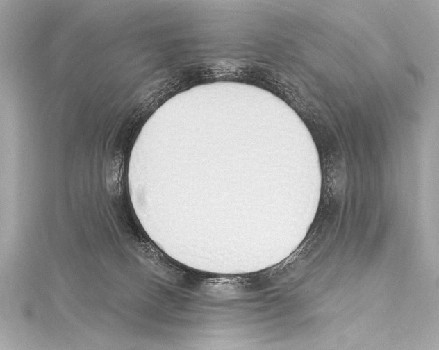 X0000115420082200912011335