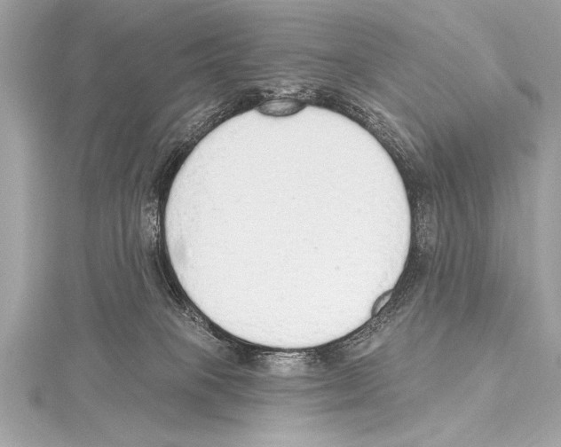 X0000115420085200912011335