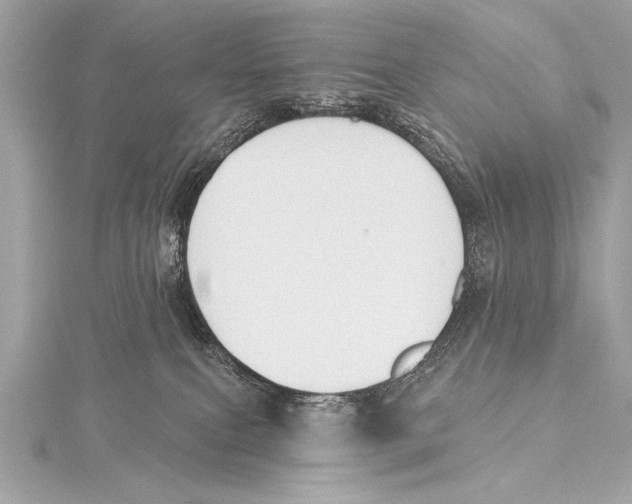 X0000115420087200912011335