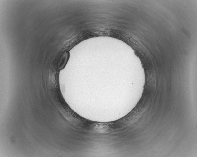 X0000115420088200912011335