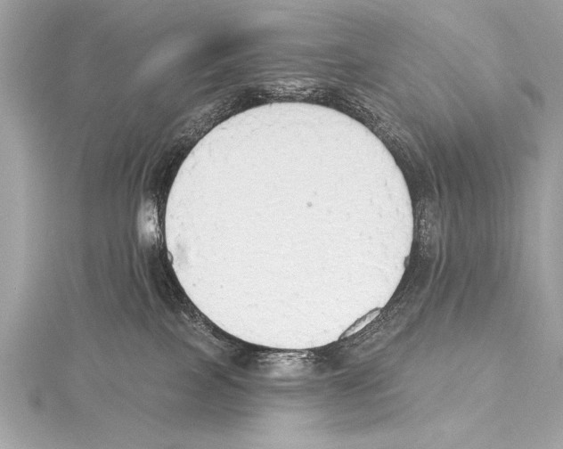 X0000115420089200912011335