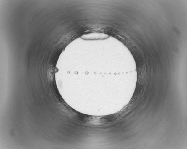 X0000115420090200912011335