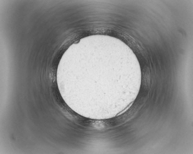 X0000115420091200912011335