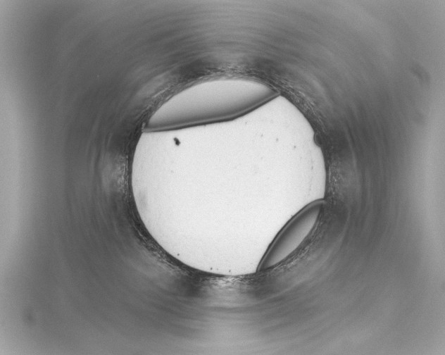 X0000115420092200912011335