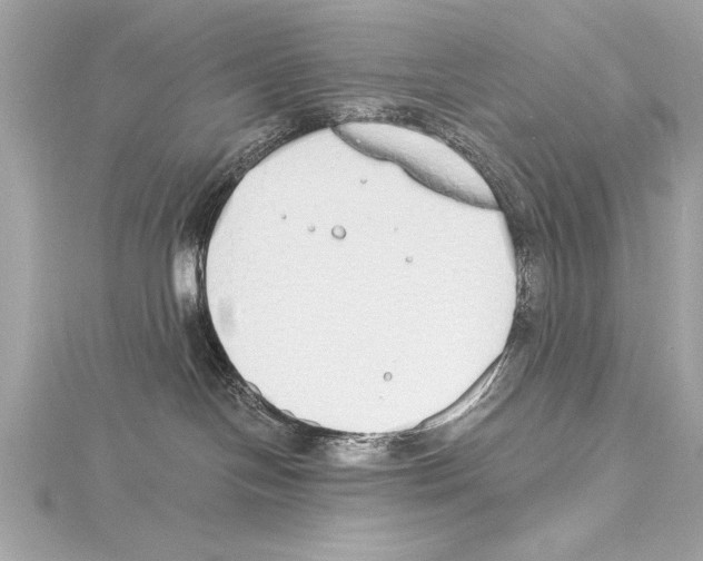 X0000115420094200912011335