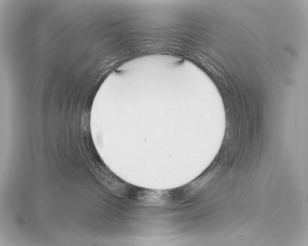 X0000115420096200912011335