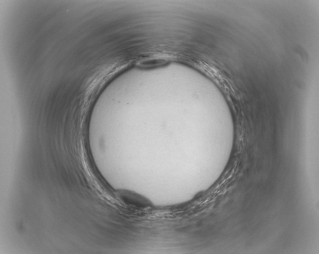 X0000115420097200912011334