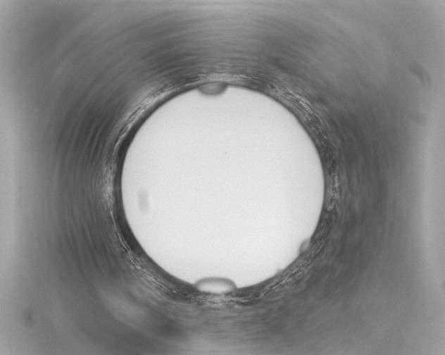 X0000115420098200912011334