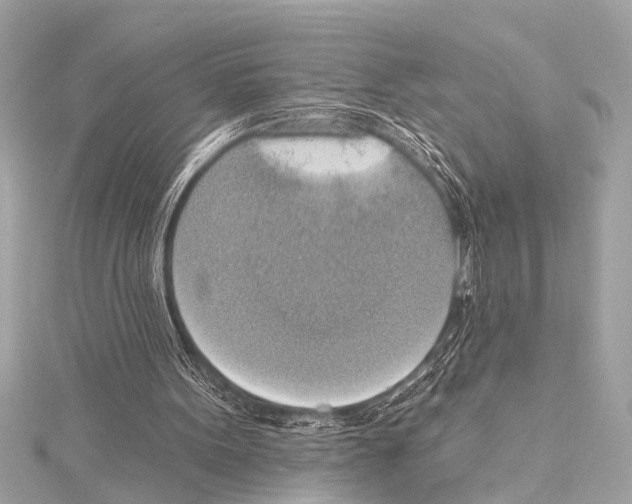 X0000115420099200912011334