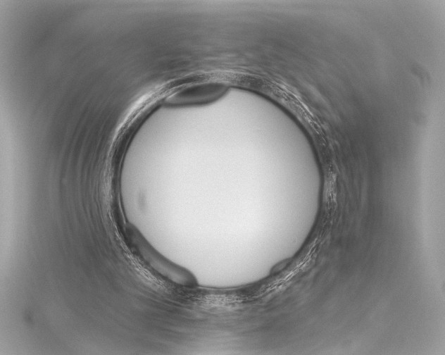 X0000115420101200912011334