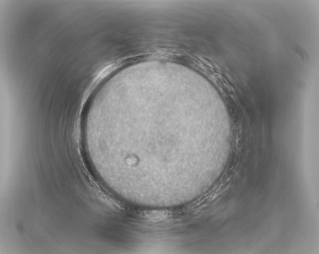 X0000115420102200912011334