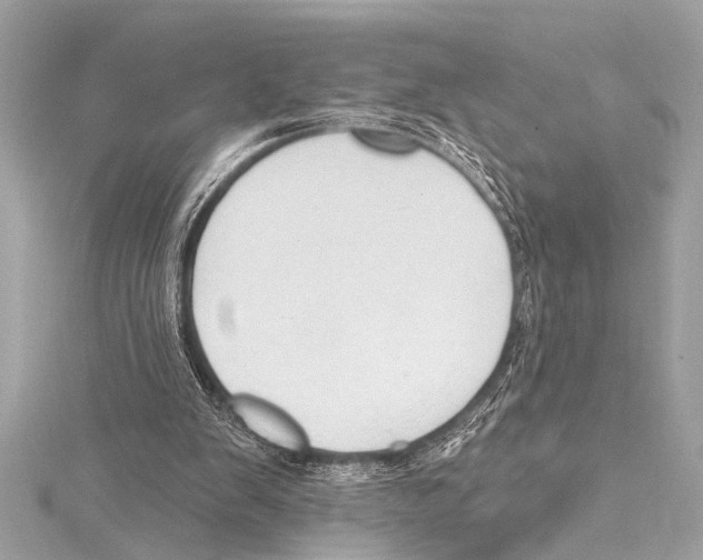 X0000115420103200912011334