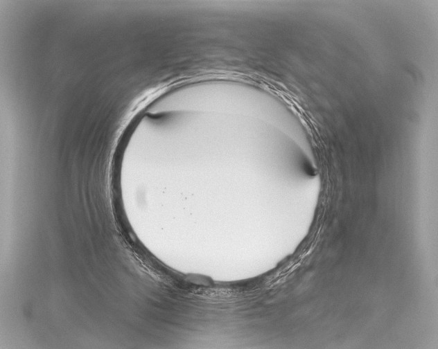 X0000115420104200912011334