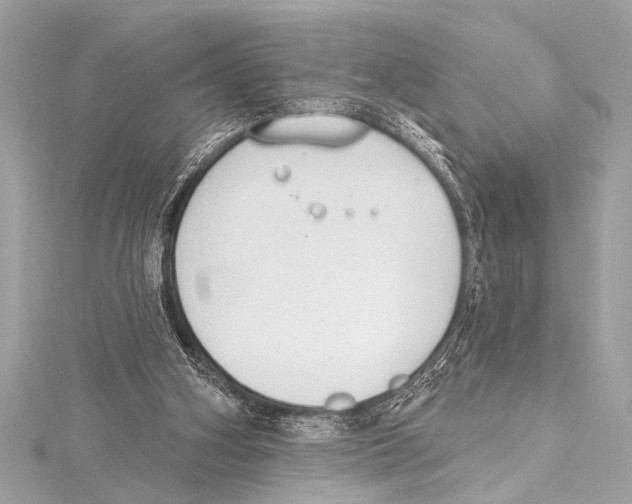 X0000115420106200912011334