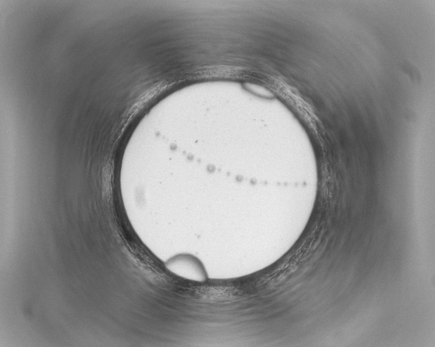 X0000115420107200912011334