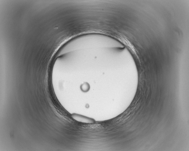 X0000115420108200912011334