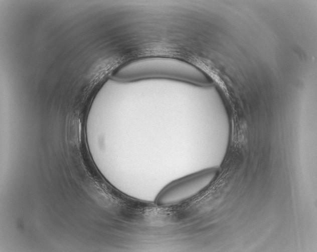 X0000115420109200912011334