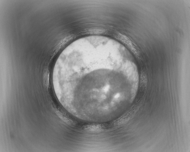 X0000115420110200912011334