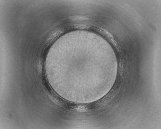 X0000115420114200912011334