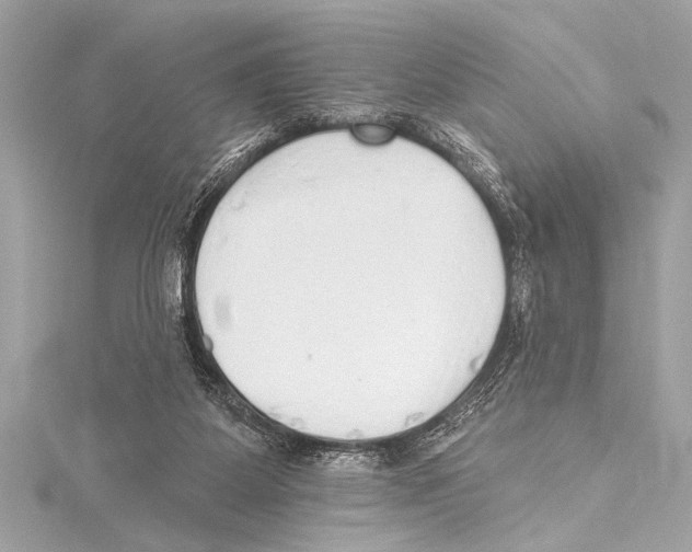 X0000115420115200912011334