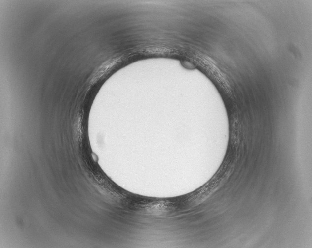 X0000115420116200912011334