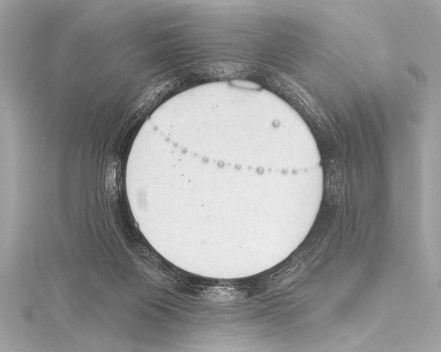 X0000115420119200912011334