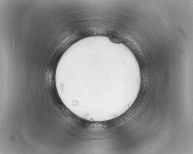 X0000115420123200912011334