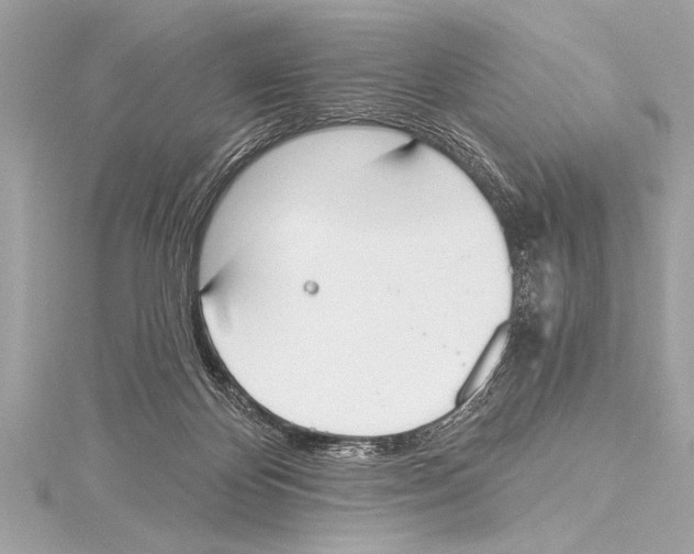 X0000115420124200912011334