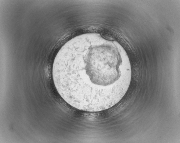 X0000115420131200912011334