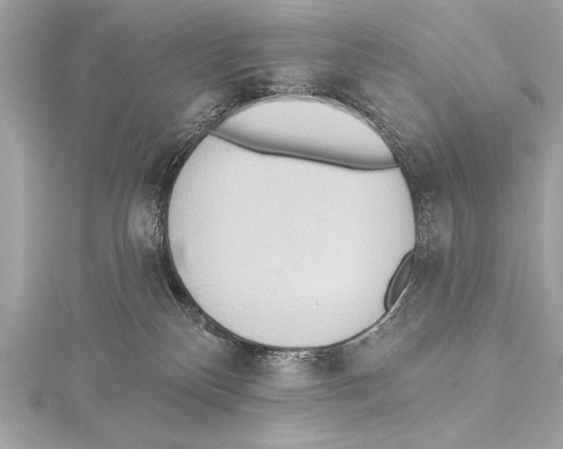 X0000115420136200912011334