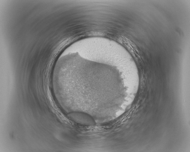 X0000115420145200912011333