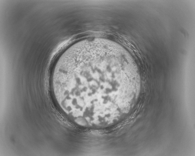 X0000115420149200912011333