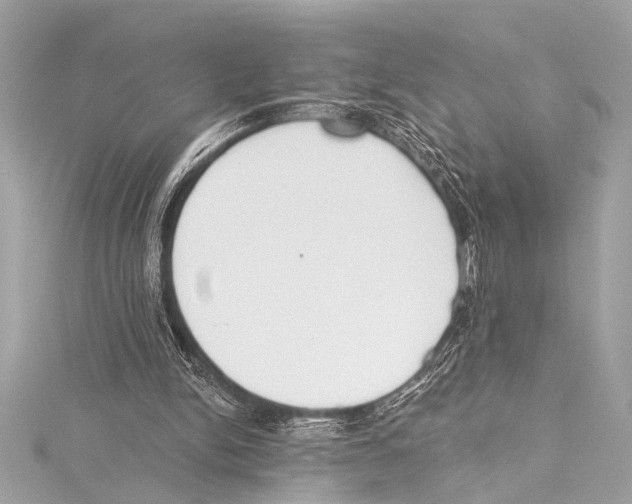 X0000115420150200912011333