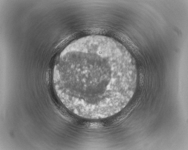 X0000115420165200912011333