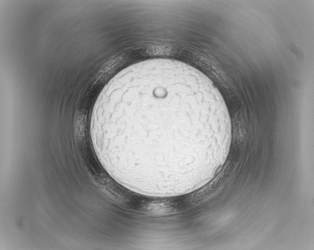 X0000115420171200912011333