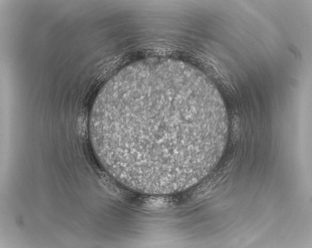 X0000115420177200912011334