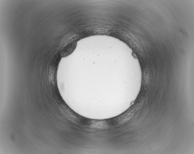 X0000115420185200912011334