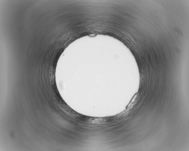 X0000115420186200912011334