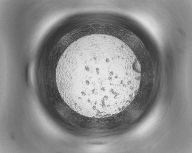 X0000115420189200912011334