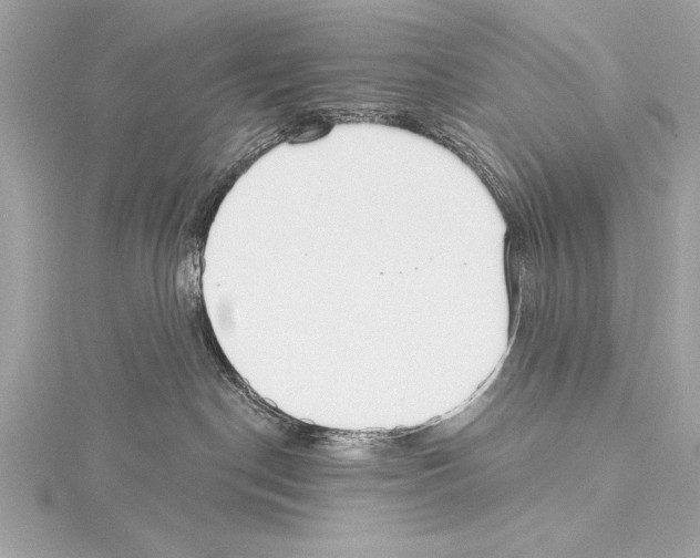 X0000115420190200912011334