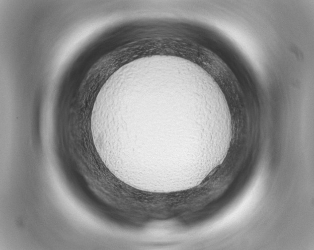 X0000115420191200912011334